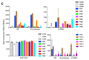 sars cov 2 elispot kit 03 sars cov 2 elispot kit 03