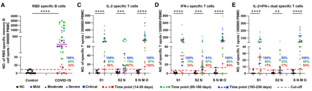 sars cov 2 fluorospot kit 03 sars cov 2 fluorospot kit 03