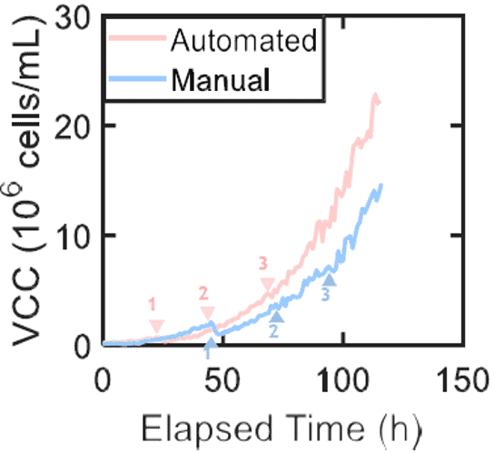 BMS結果二 BMS結果二
