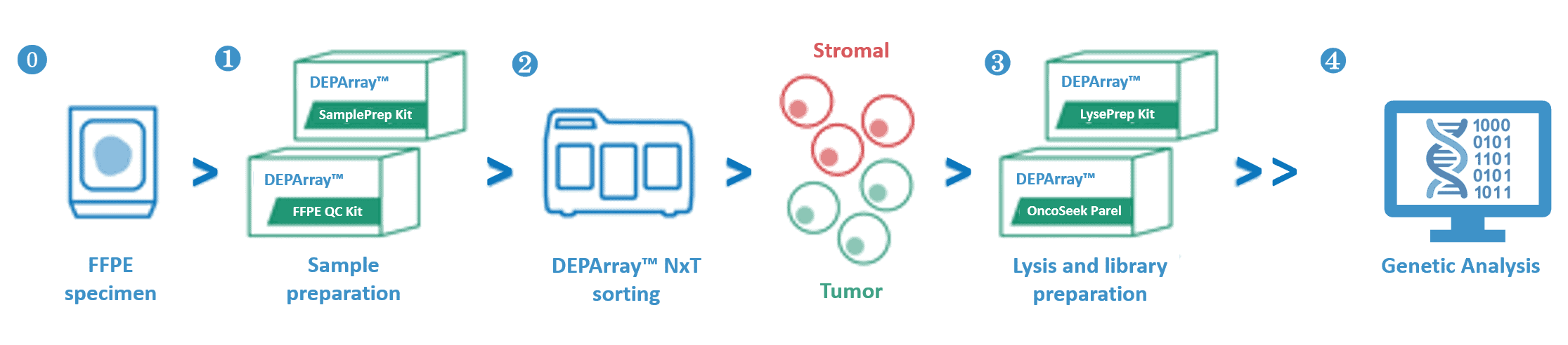 Deparray FFPE sampleprep工作流程 1 Deparray FFPE sampleprep工作流程 1