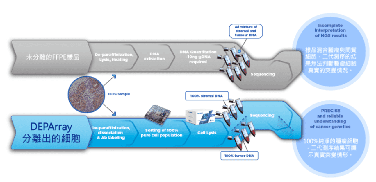 Deparray 分離細胞比較 Deparray 分離細胞比較