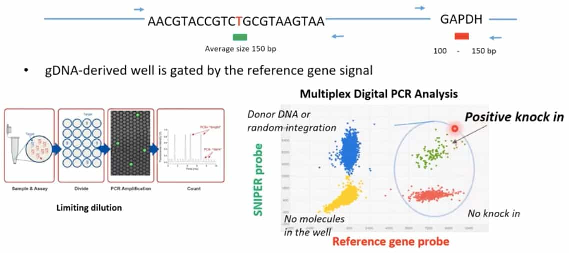 ddPCR說明 ddPCR說明