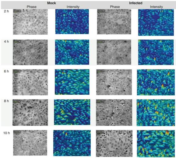 qMod結果三 qMod結果三