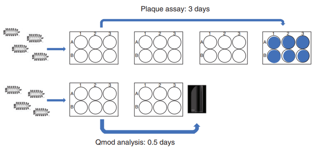 qMod結果五 qMod結果五