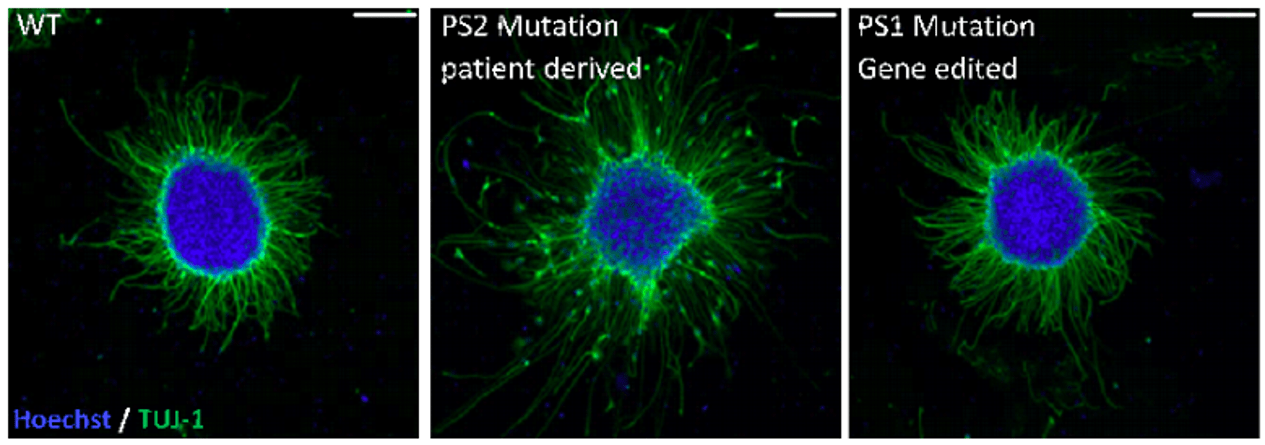 reprocell結果一 reprocell結果一