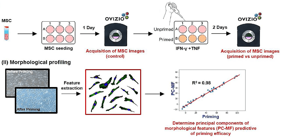 qmod監測MSC結果1 qmod監測MSC結果1