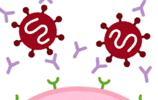 t細胞別忘了b細胞 2