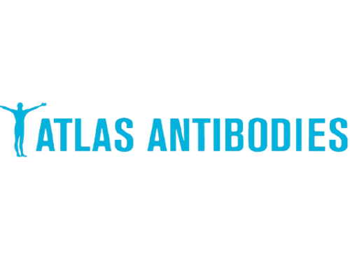 Atlas Antibodies 應用文獻匯輯