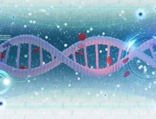 大數據統合分析：建立代謝體的基因架構