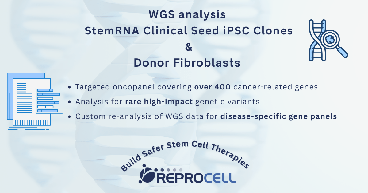 StemRNA Clinical iPSC